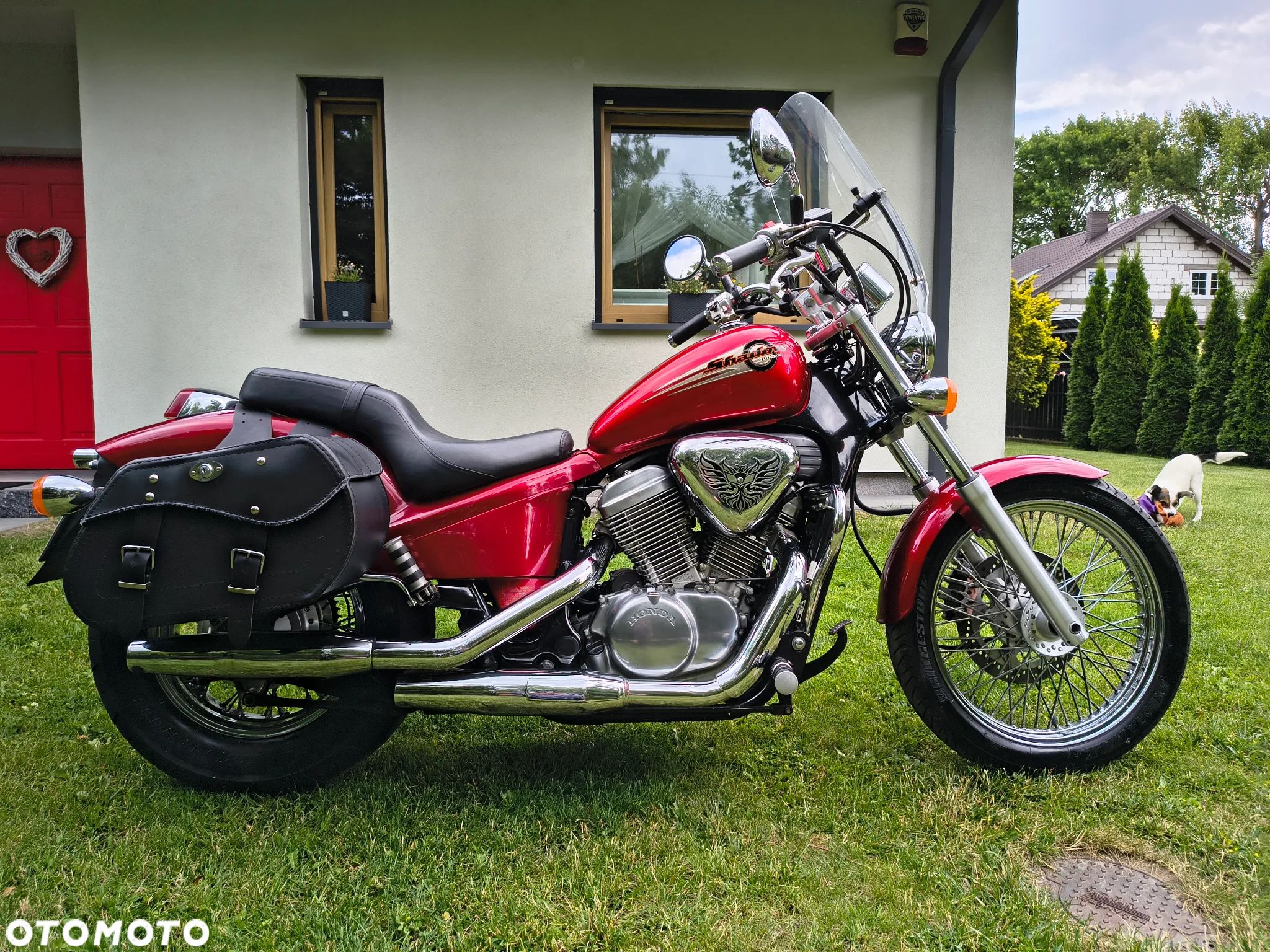 Honda Shadow - 1
