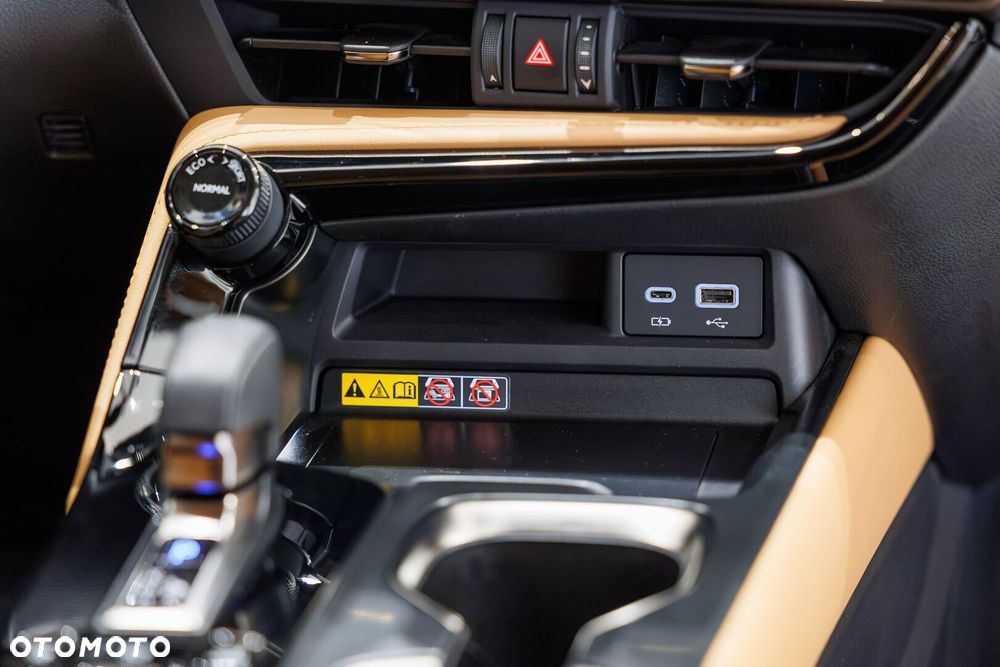 Lexus NX - 31