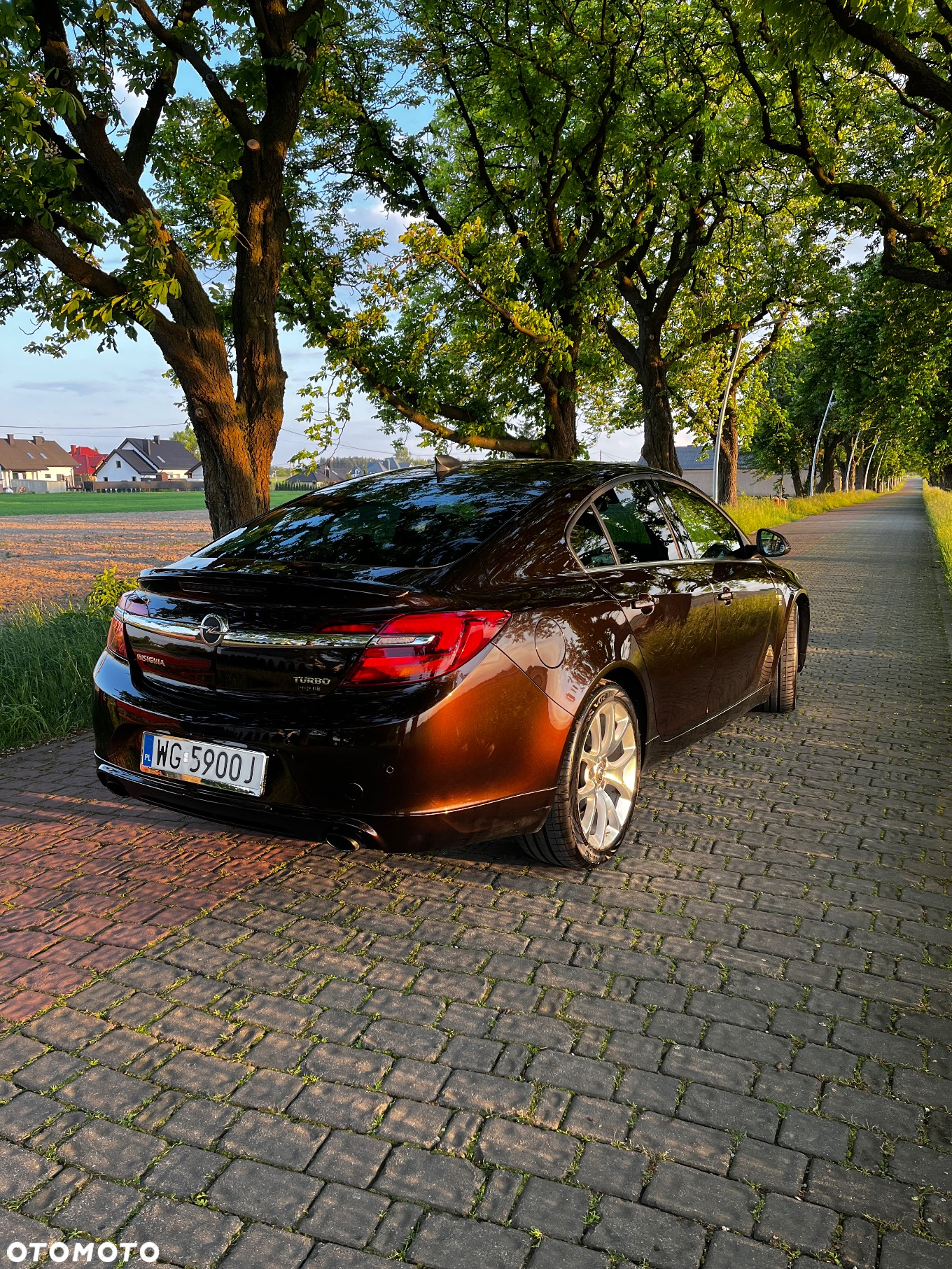 Opel Insignia 1.6 SIDI Turbo Sports Tourer - 2