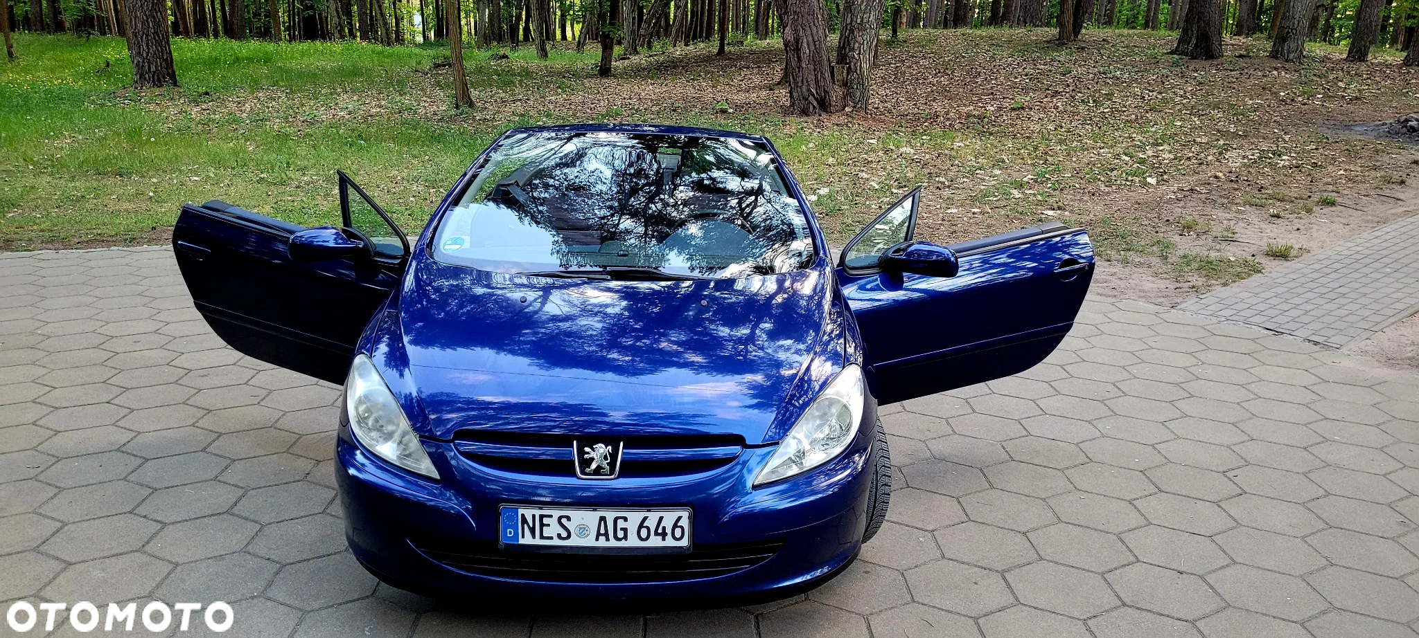 Peugeot 307 135 Sportline - 14
