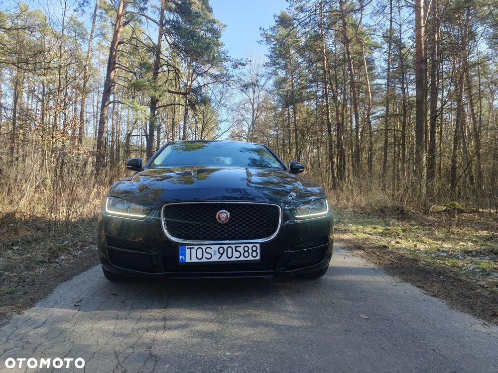 Jaguar XE 2.0 D AWD Portfolio - 24