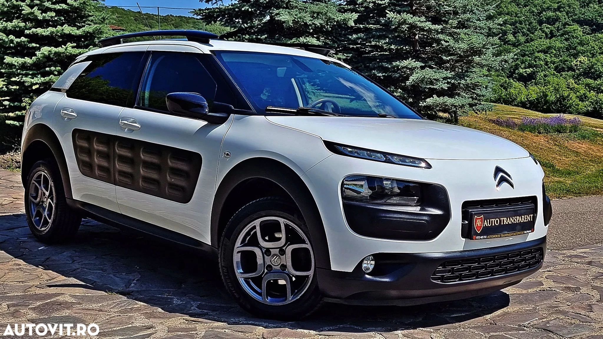 Citroën C4 Cactus Pure Tech 110 Stop&Start EAT6 Shine - 23
