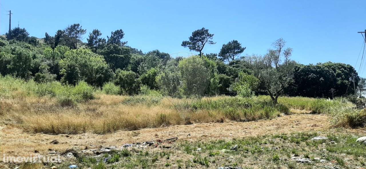 Terreno  para venda - Grande imagem: 4/8