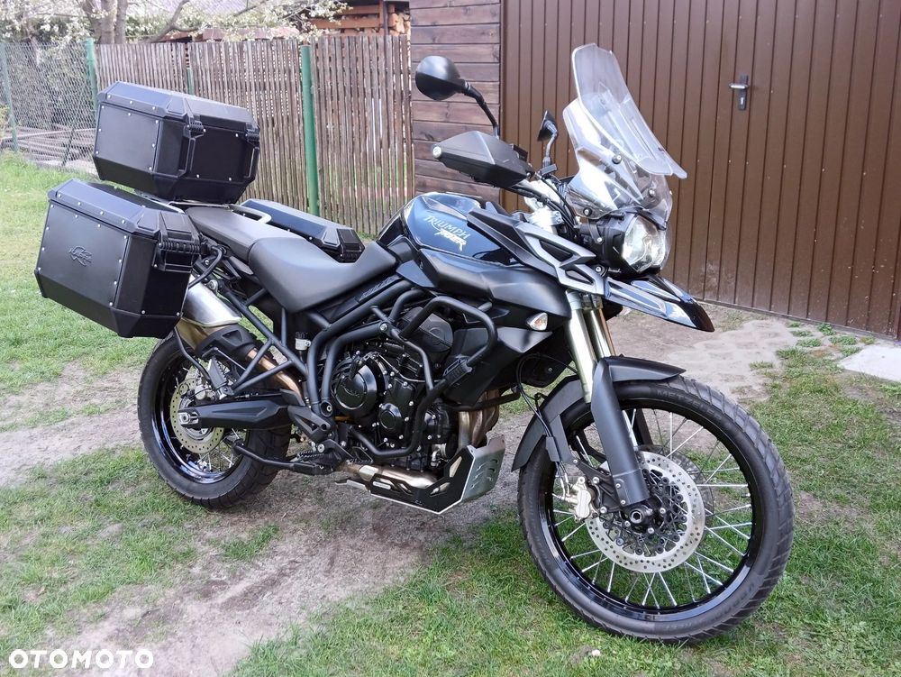 Triumph Tiger - 1