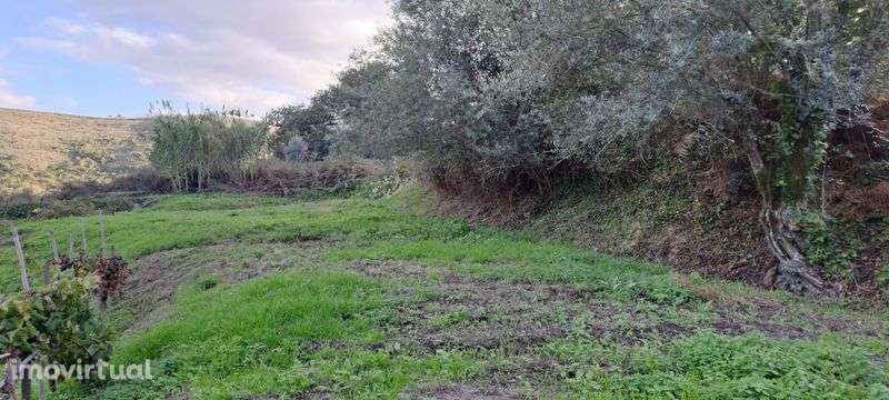 espectacular LOUSA LOURES 1.6 hectares a 15 min da capital Lisboa - Grande imagem: 4/6