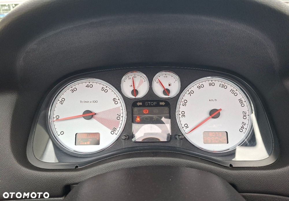 Peugeot 307 - 21