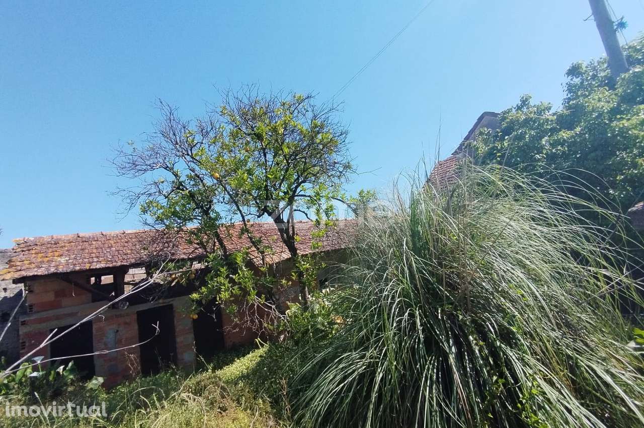 Moradia para recuperar na Rua do Cabeço, Fermentelos, Águeda - Grande imagem: 5/15