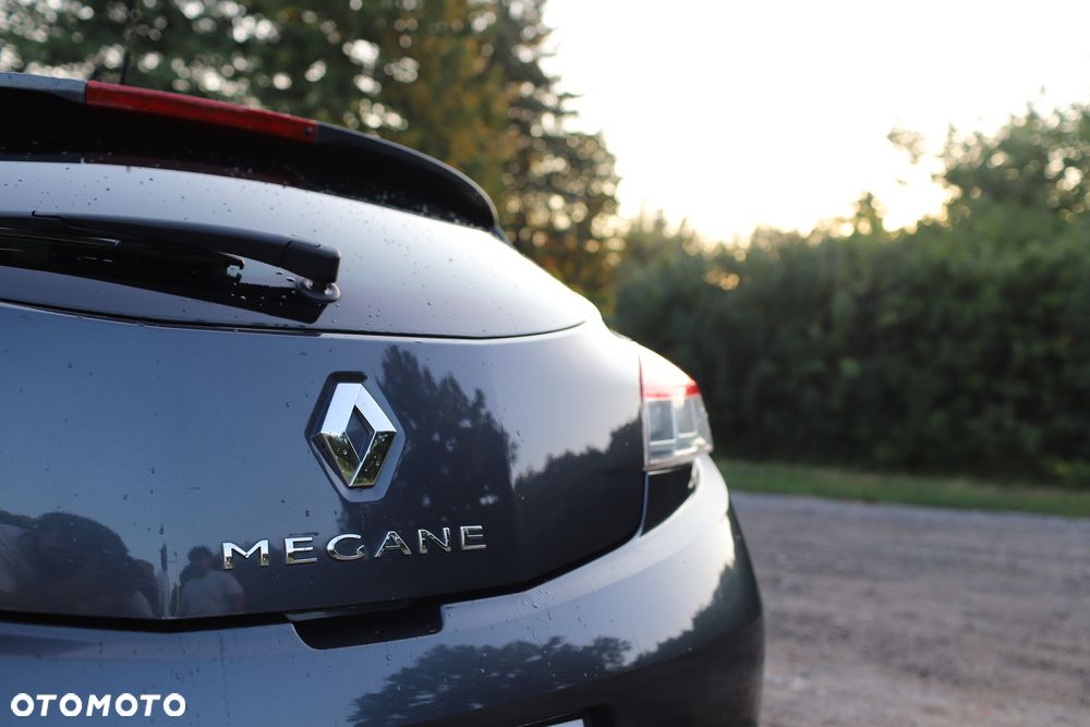 Renault Megane 1.9 dCi Dynamique Euro5 - 12
