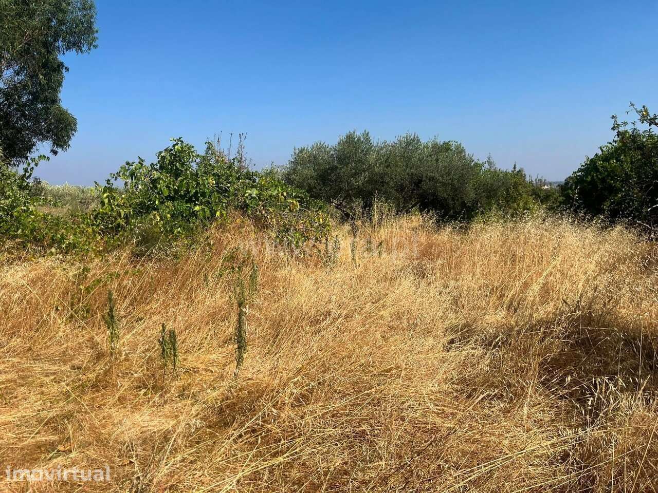 Terreno com ruina / Fundão, Quintas da Torre - Grande imagem: 5/16