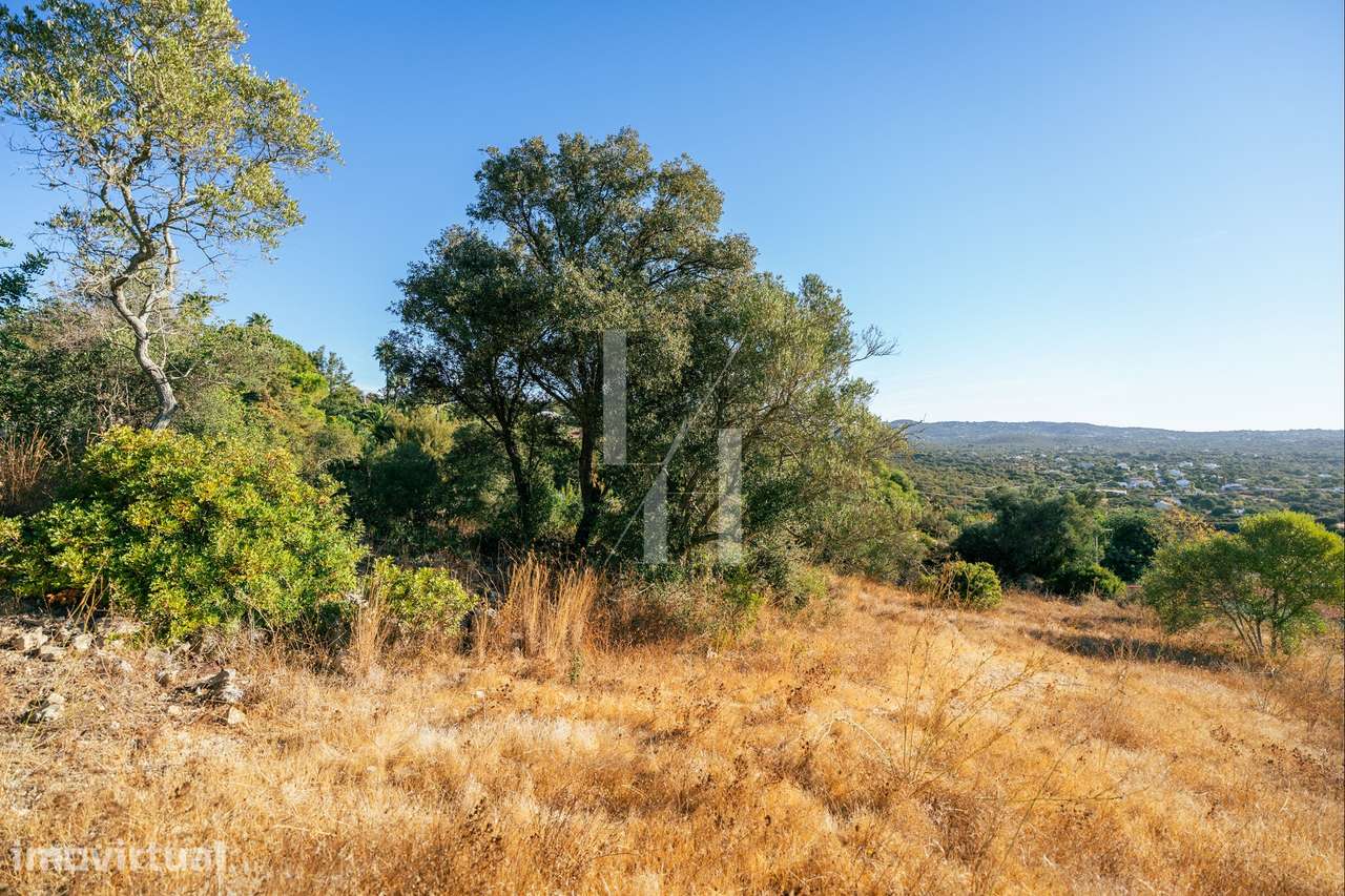 Terreno com Projeto Aprovado para 2 Moradias Geminadas - Loulé - Grande imagem: 3/17