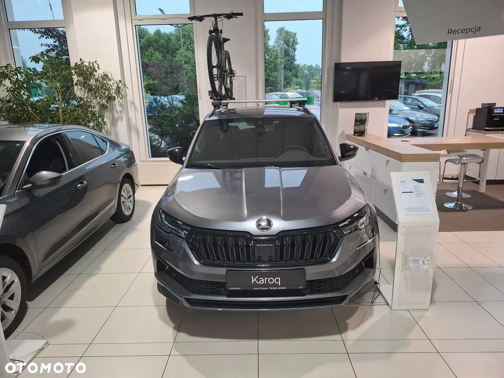 Skoda Karoq - 2