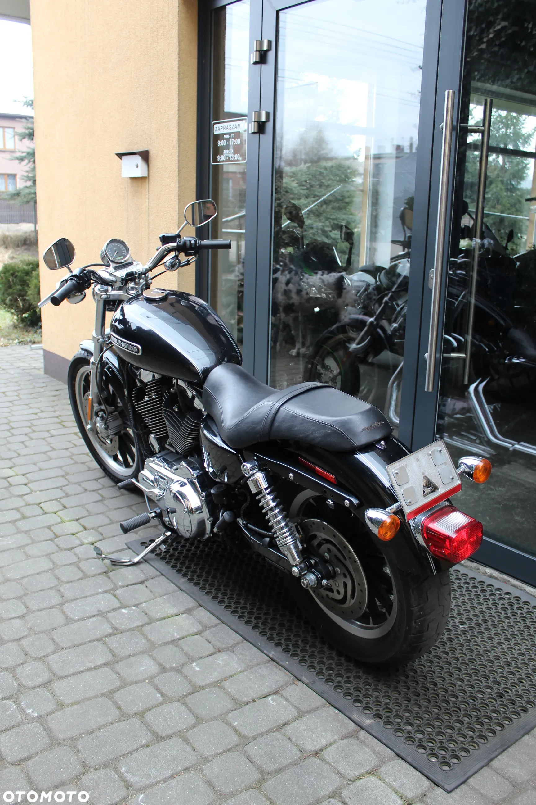 Harley-Davidson Sportster Custom 1200C - 6