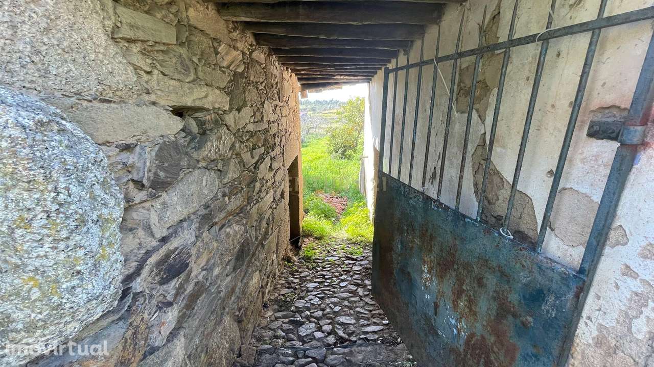 Moradias em ruína, com terreno | Palvarinho, Castelo Branco - Grande imagem: 4/8
