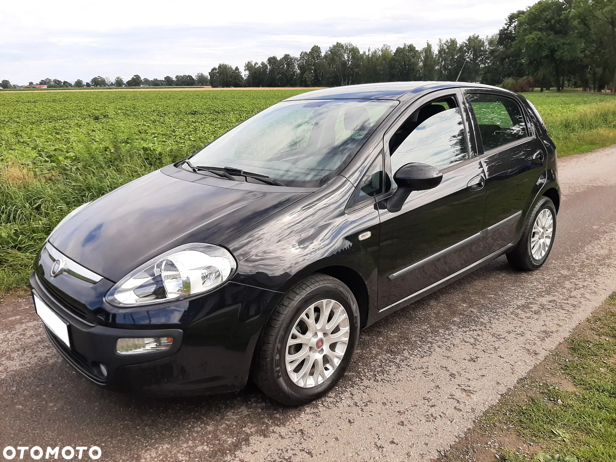 Fiat Punto Evo 1.4 8V Dynamic - 10