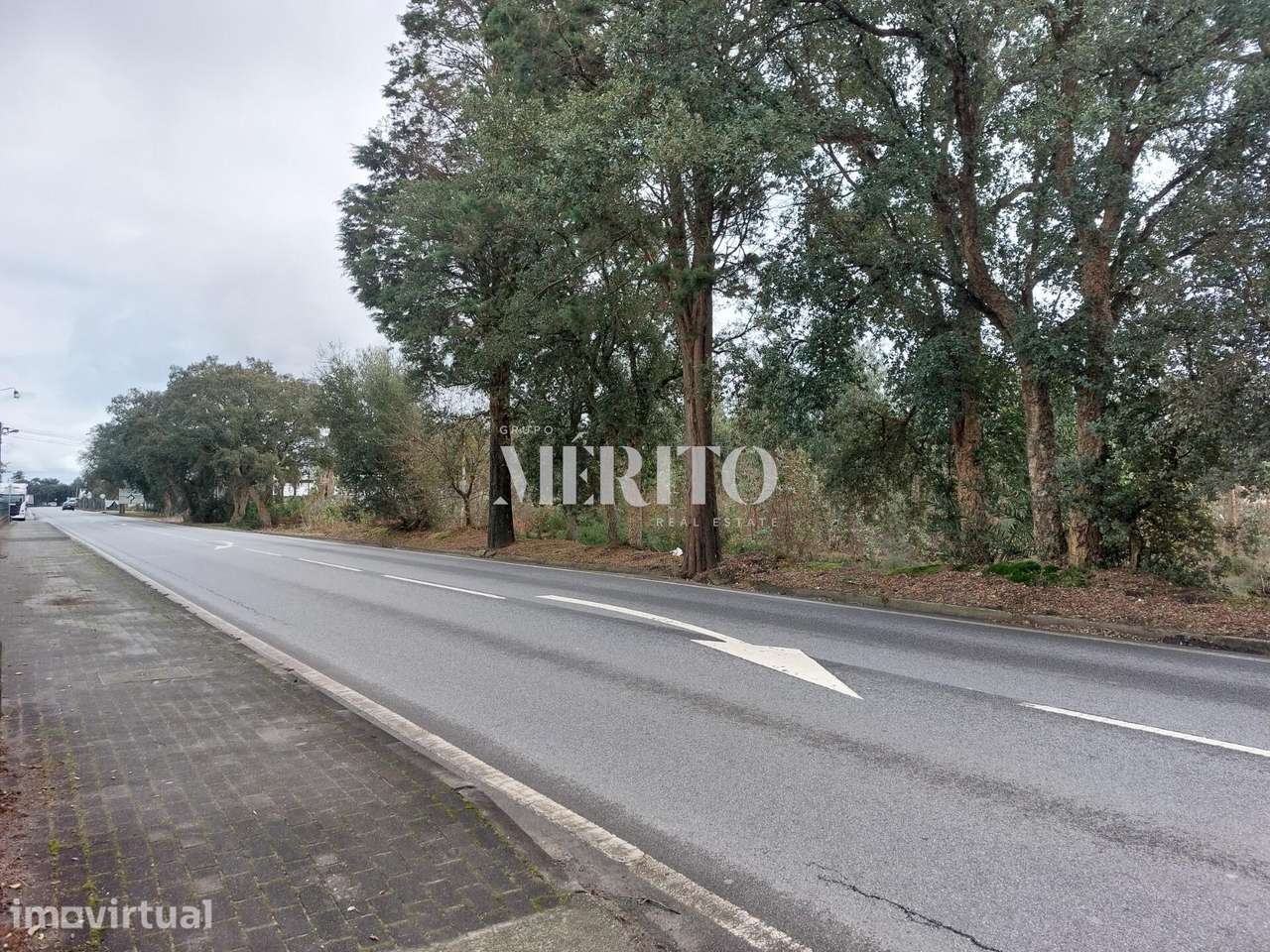Excelente Terreno em Vila Seca - Grande imagem: 5/7