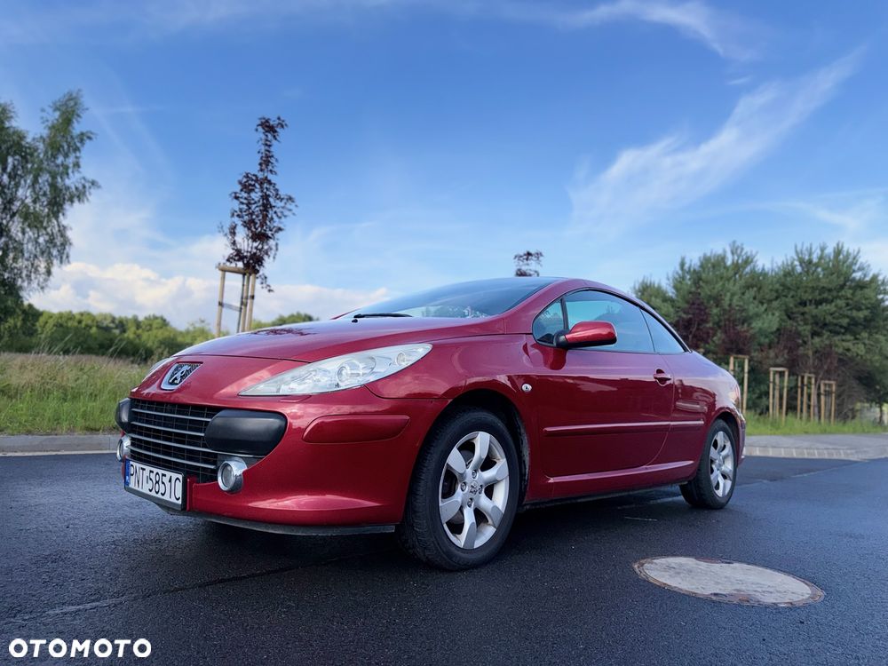 Peugeot 307 - 11