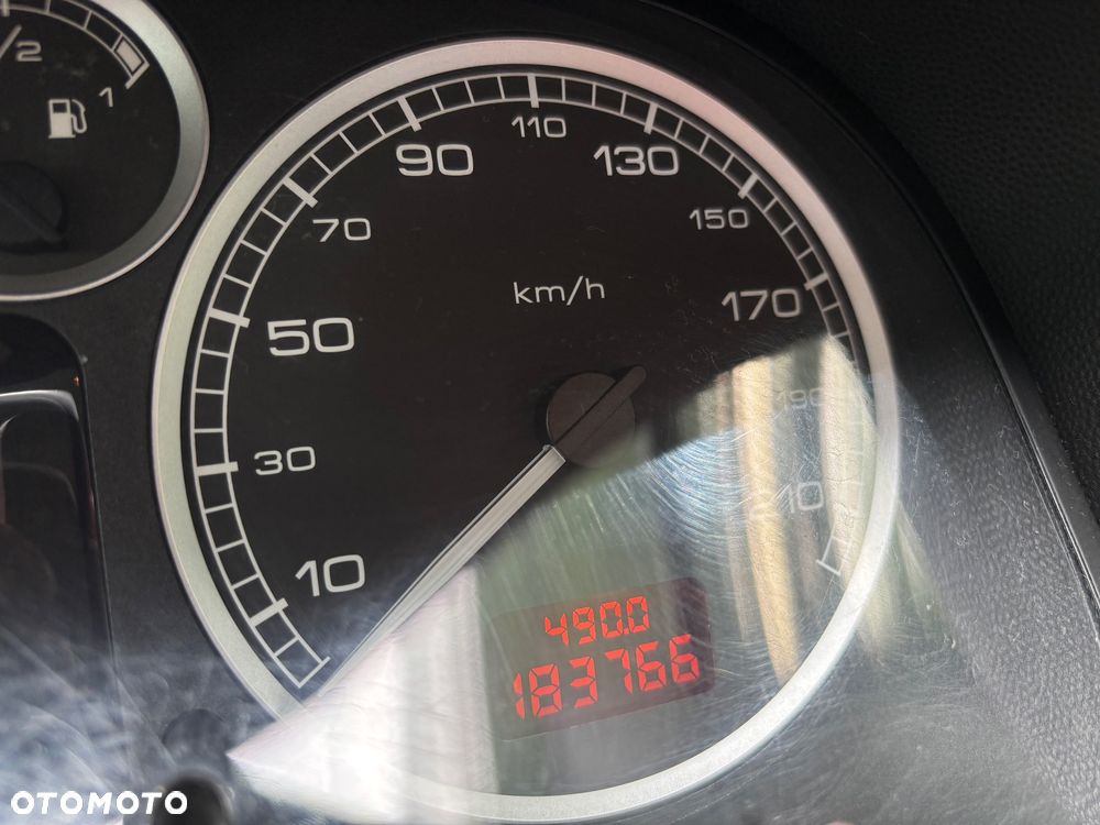 Peugeot 307 1.6 Mistral - 12