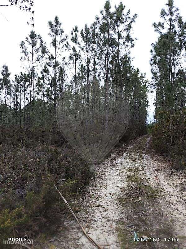 Terreno  para venda - Grande imagem: 3/10