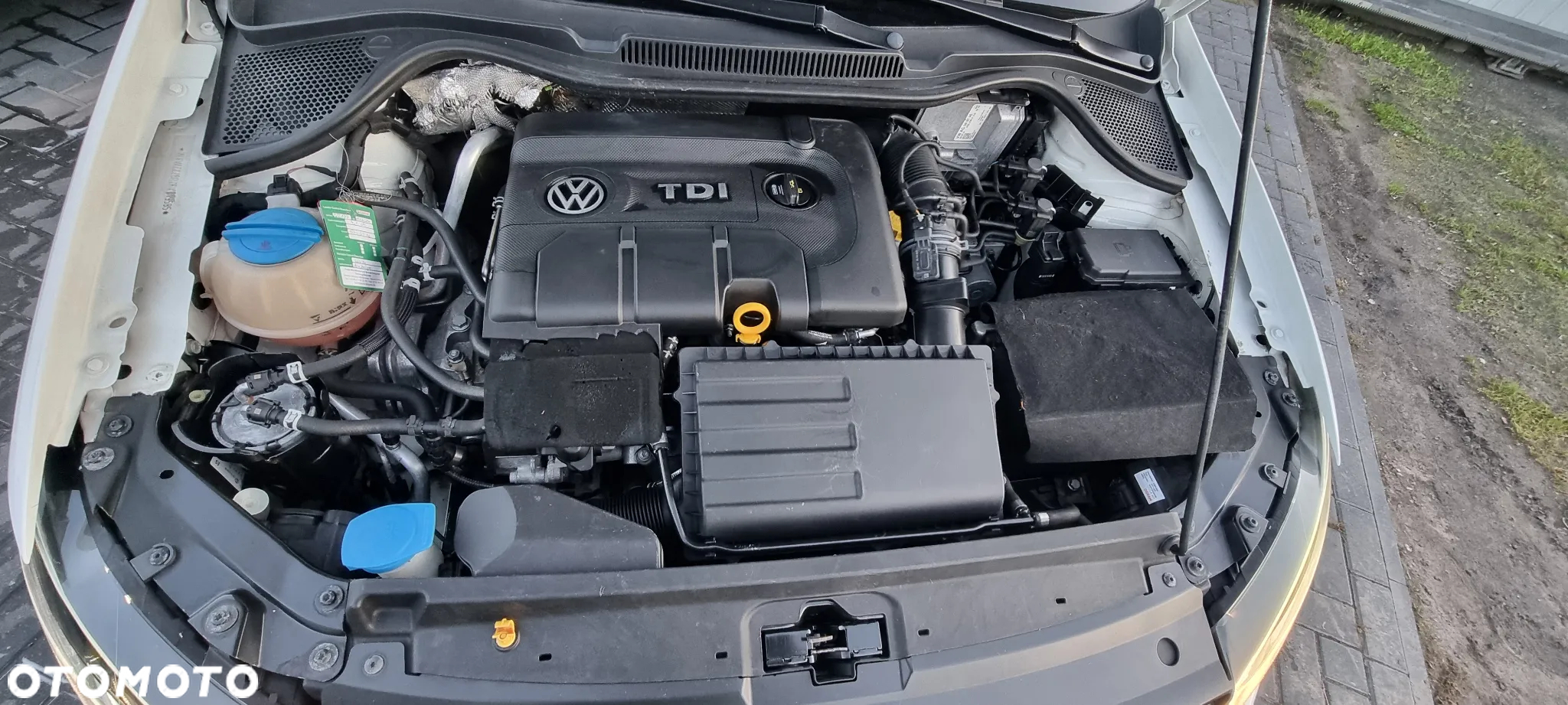 Volkswagen Polo - 28