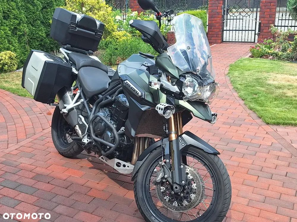 Triumph Tiger - 4