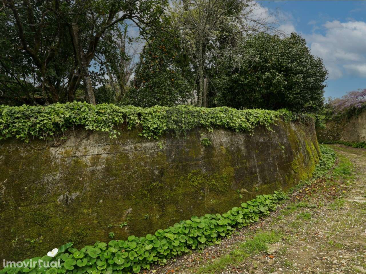 Quinta T8 Venda em São Pedro de Castelões,Vale de Cambra - Grande imagem: 3/28