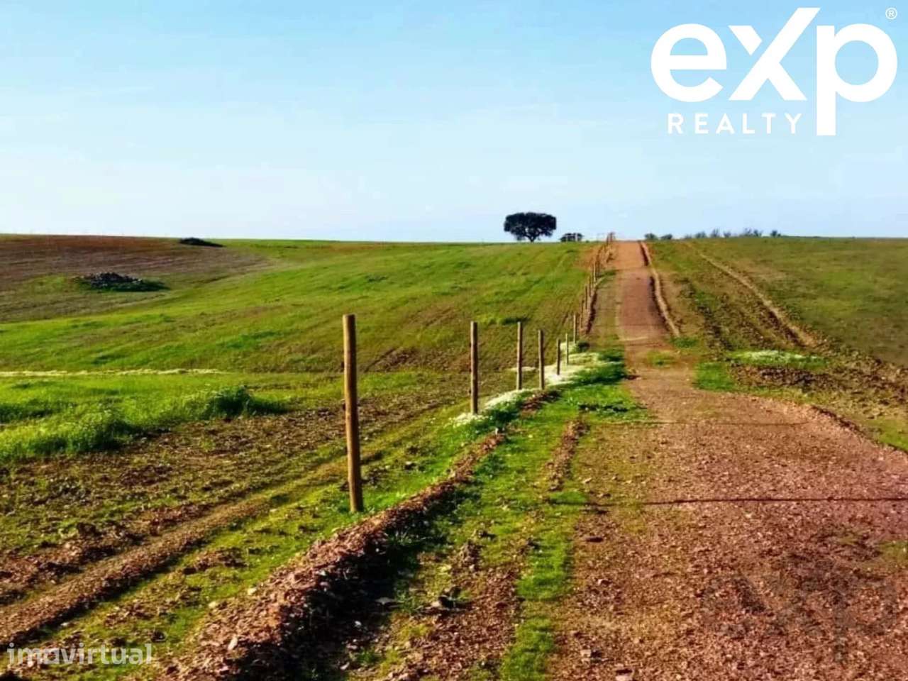 Herdade para Gado - Baixo Alentejo  (Seguro para investidores, fundos - Grande imagem: 5/24