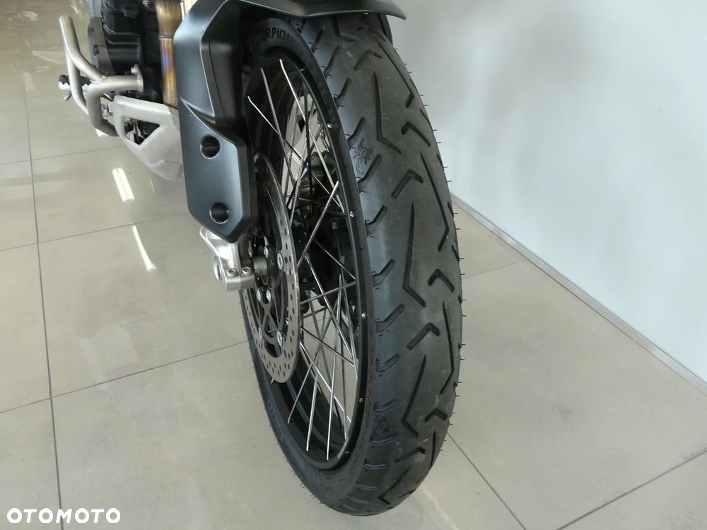 Triumph Tiger - 6