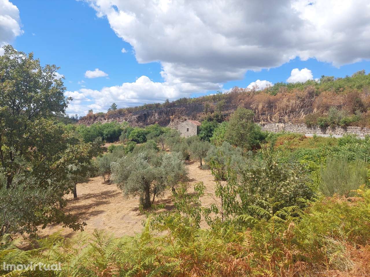 Quintinha  Venda em Figueiró da Serra e Freixo da Serra,Gouveia - Grande imagem: 2/5