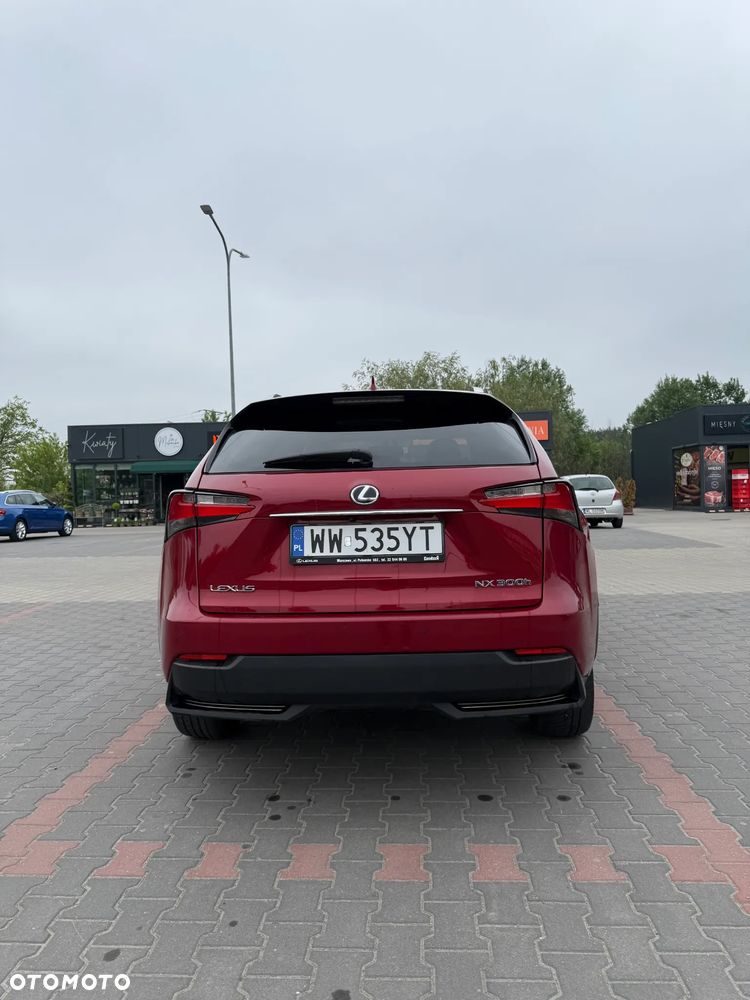 Lexus NX 300h F Sport AWD - 6