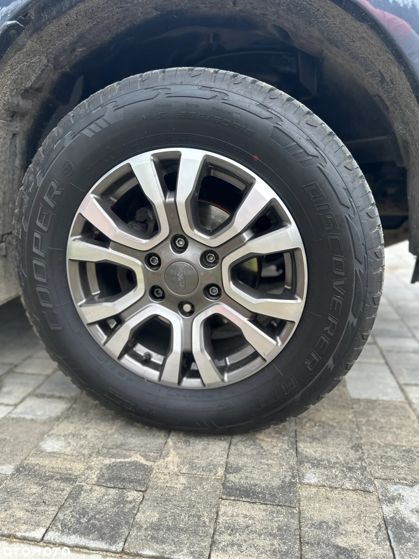 Ford Ranger 3.2 TDCi 4x4 DC Wildtrak - 13