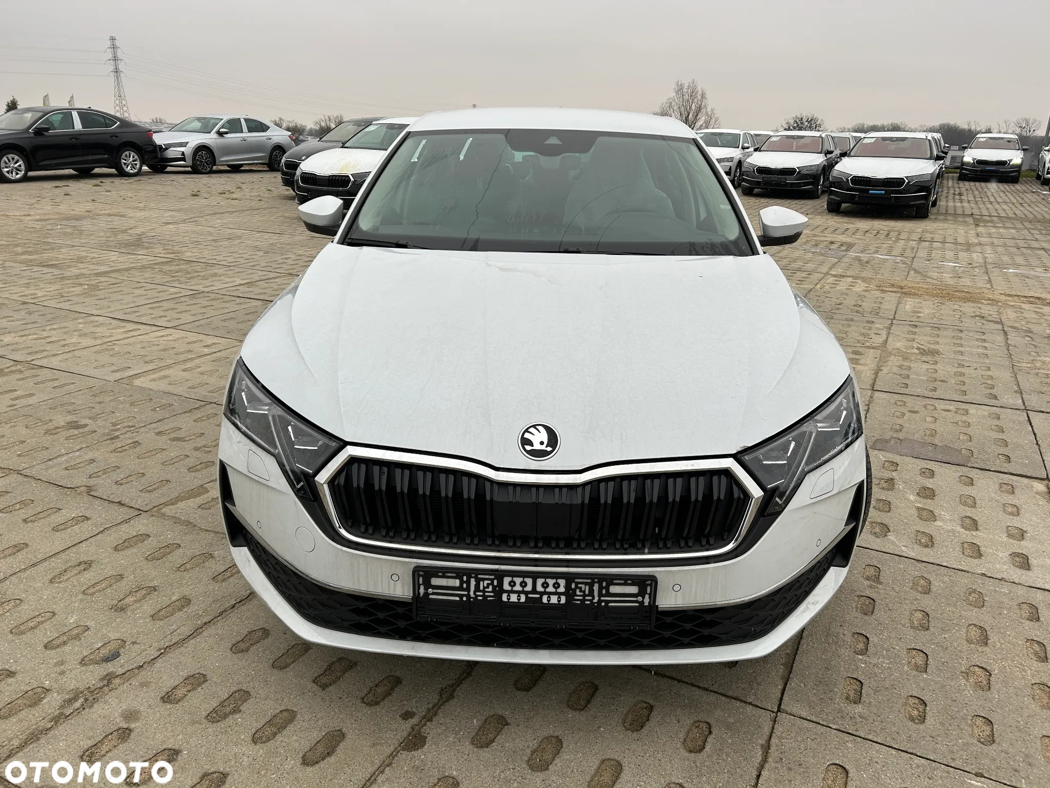 Skoda Octavia 2.0 TDI Edition 130 Selection DSG - 2
