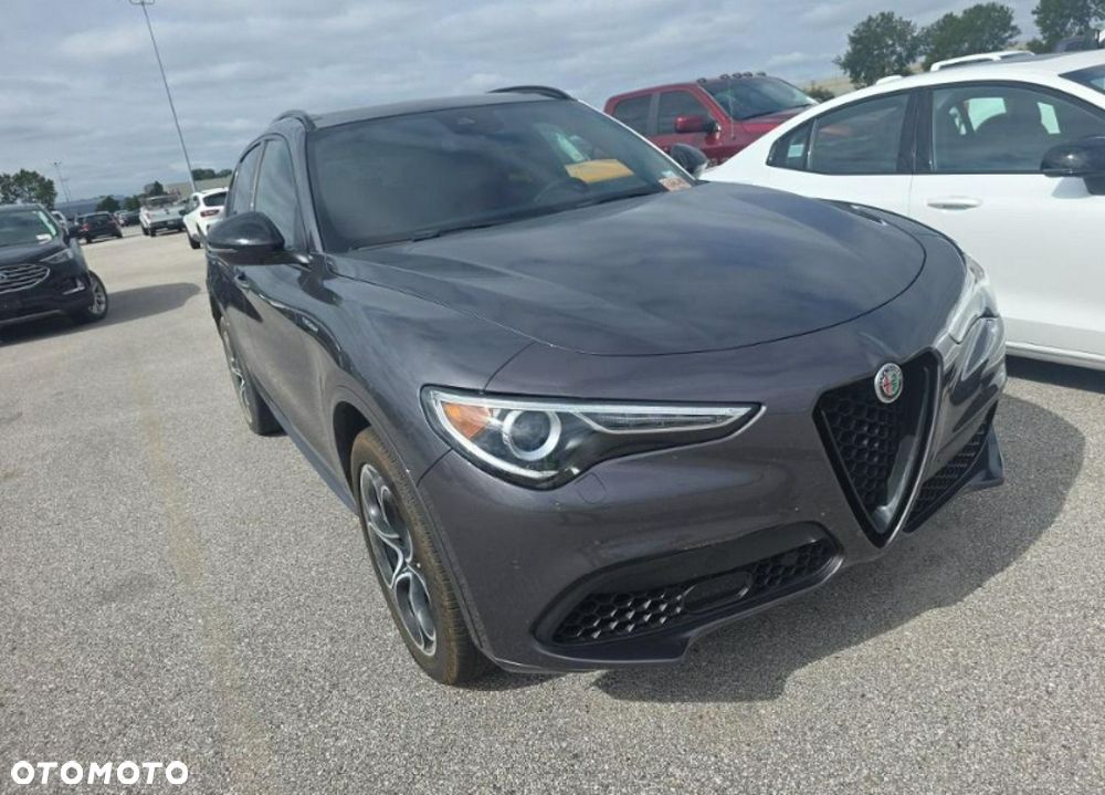 Alfa Romeo Stelvio 2.0 Turbo Veloce Q4 - 3