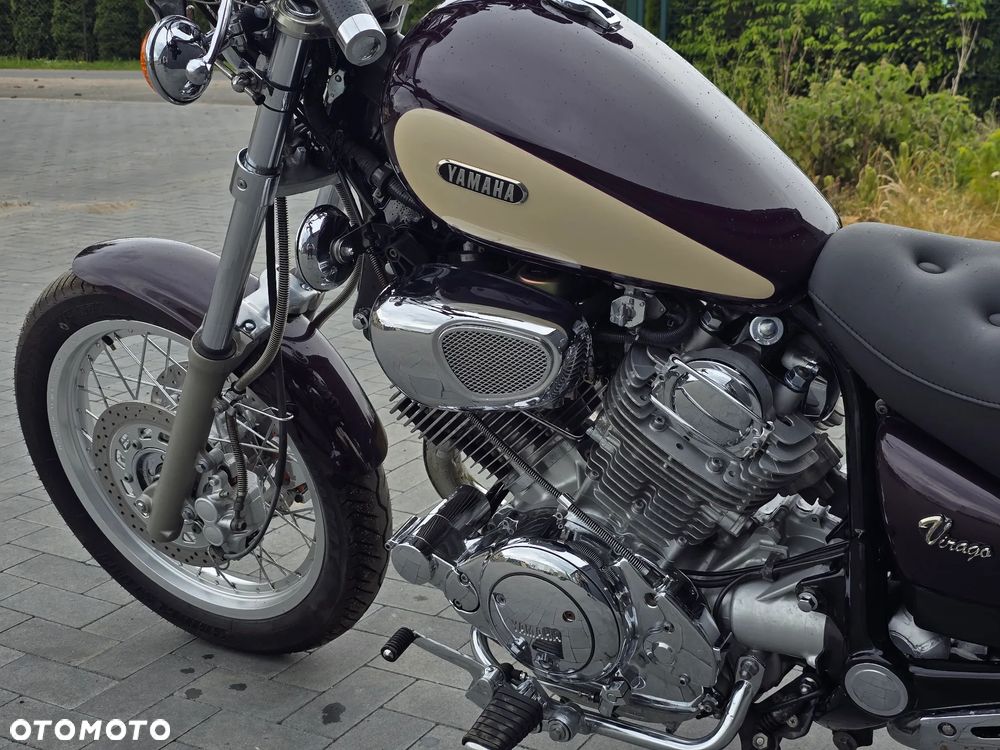 Yamaha Virago - 6