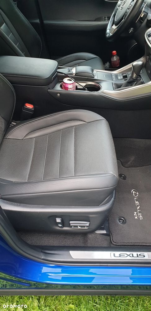 Lexus NX 300h F Sport AWD - 30