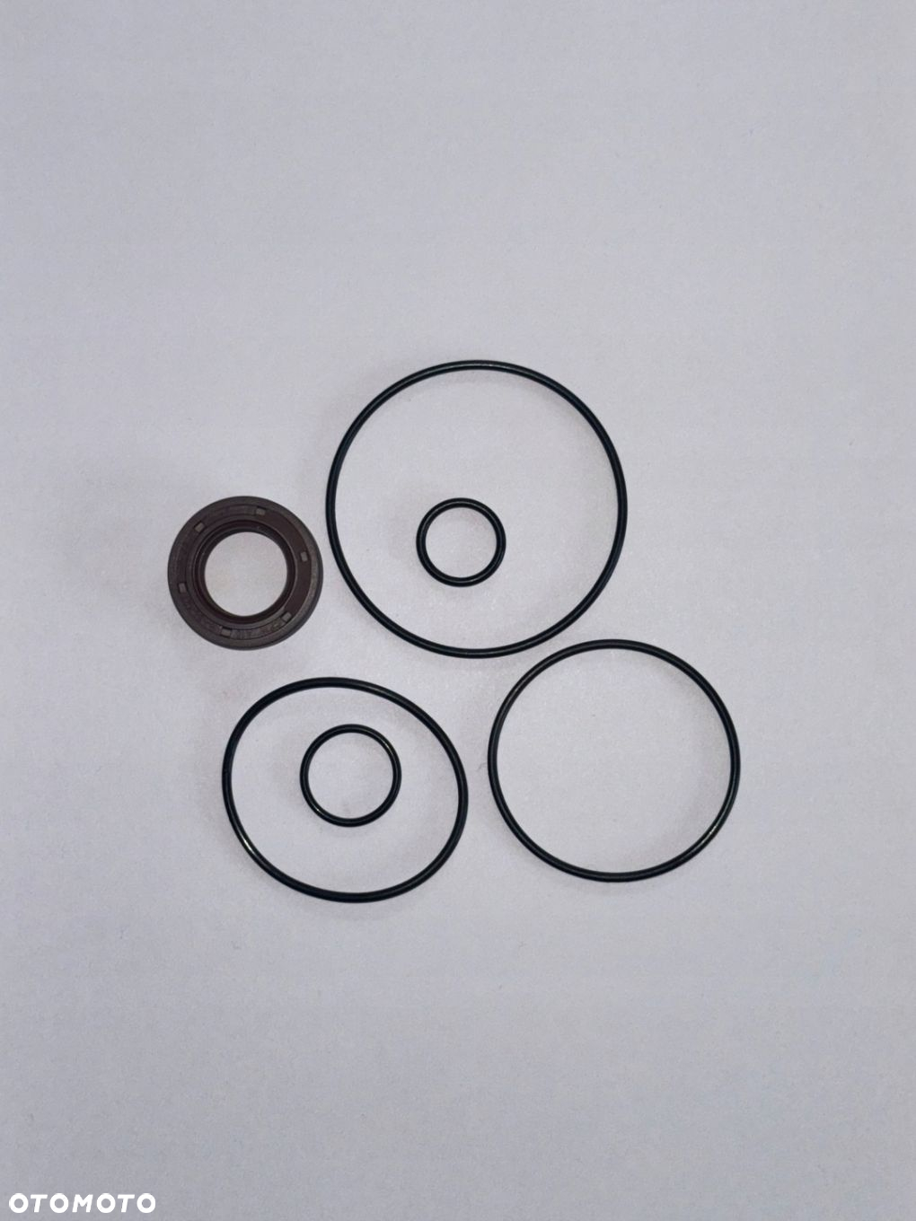 ZESTAW NAPRAWCZY POMPY WSPOMAGANIA zf BMW E39 E46 E90 E91 E65 E60 E61 E53 - 2