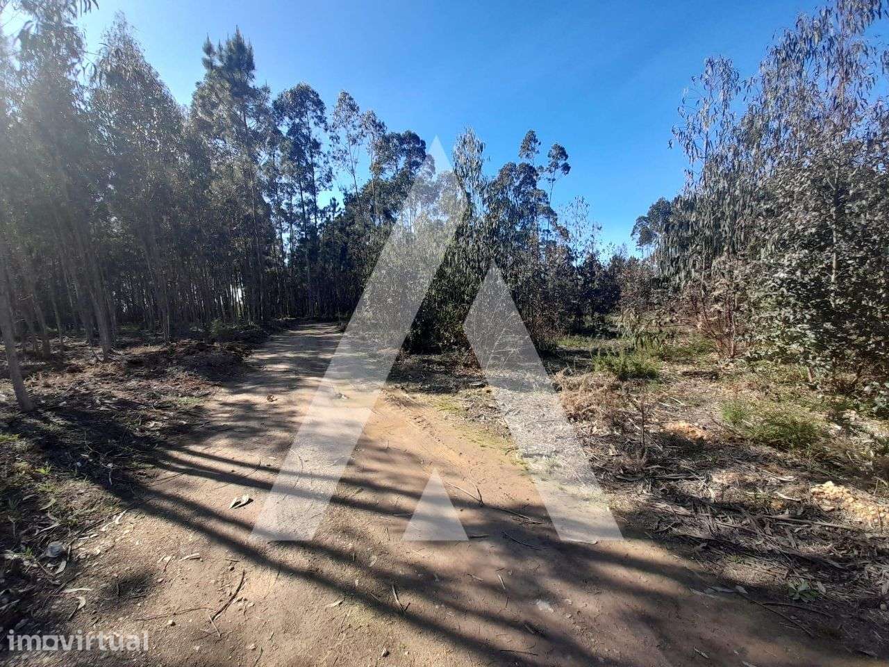 Terreno para construção em Vale Domingos, Águeda - Grande imagem: 2/11