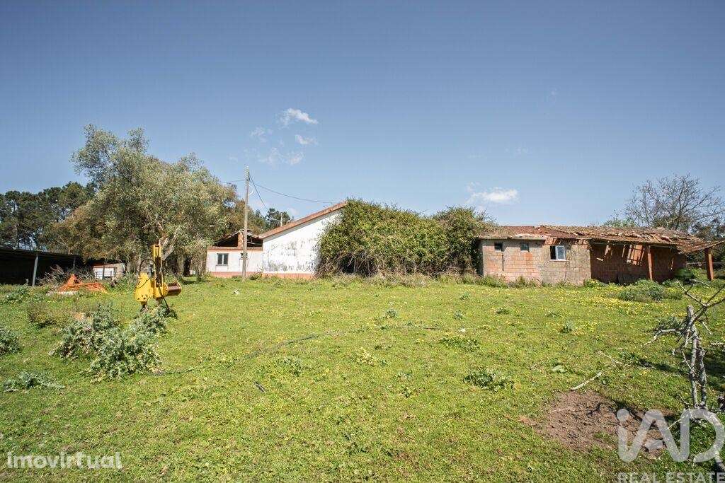 Terreno em Souto da Carpalhosa e Ortigosa de 161861,00 m2 - Grande imagem: 2/17