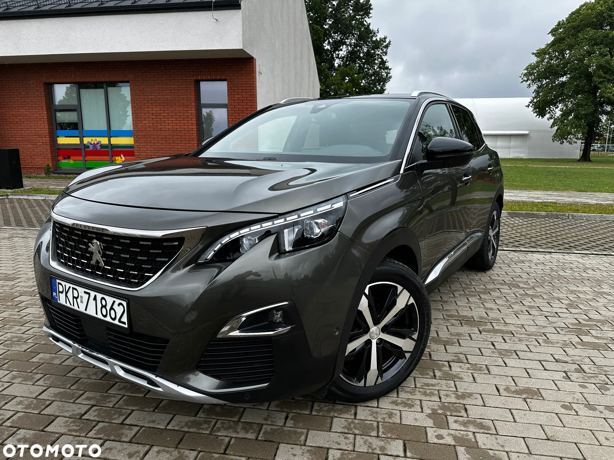 Peugeot 3008 - 13