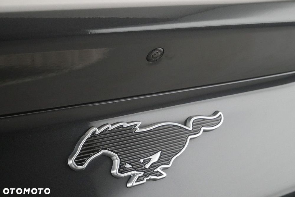 Ford Mustang Mach-E - 19