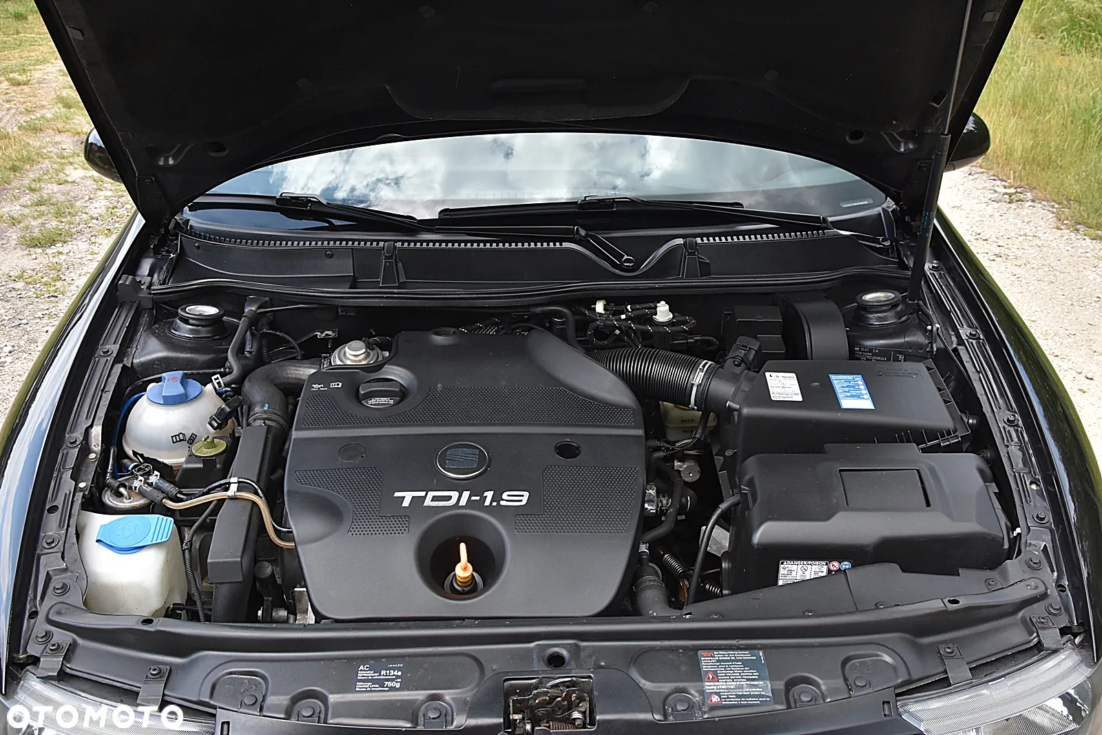 Seat Leon 1.9 TDI Signo - 38