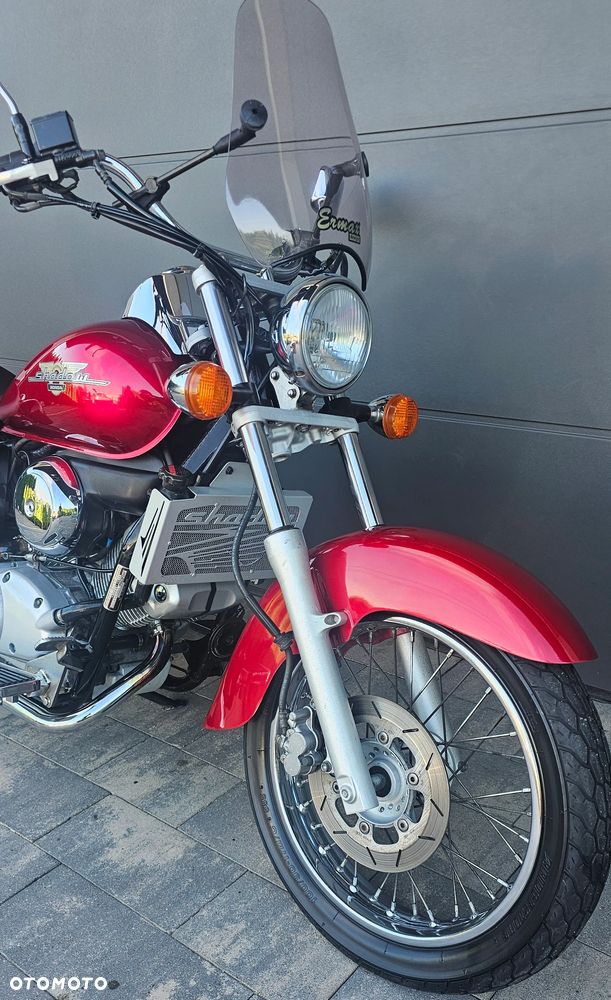 Honda Shadow - 19