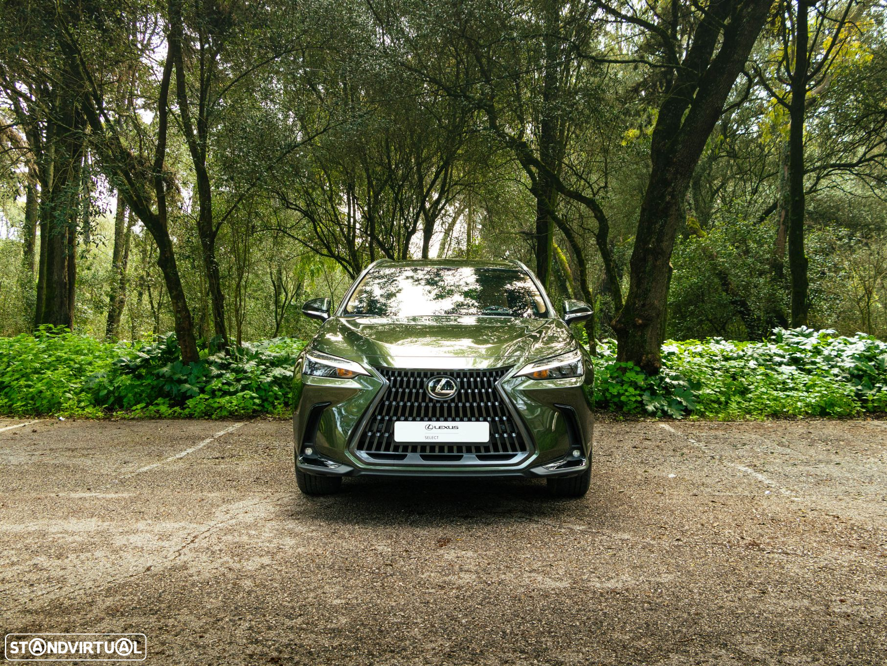 Lexus NX 450h+ - 5