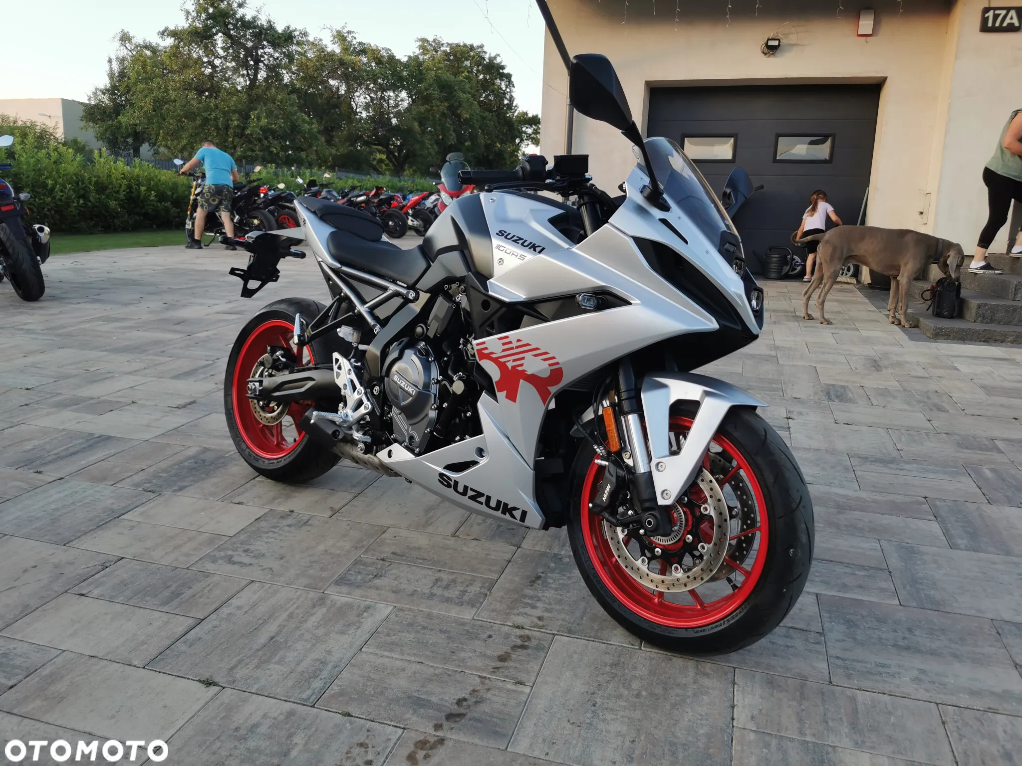 Suzuki GSX - 27