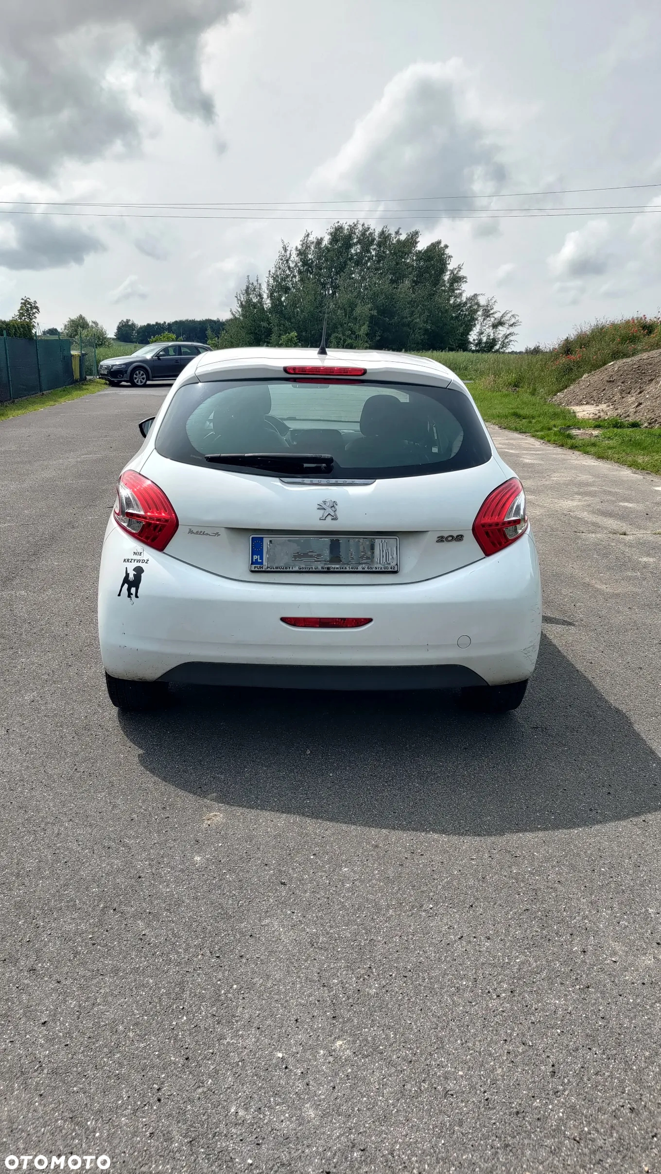 Peugeot 208 - 3