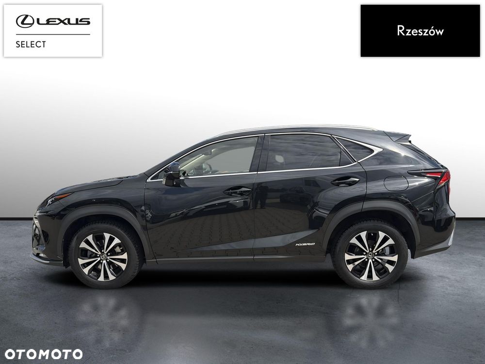 Lexus NX 300h F Impression AWD - 2