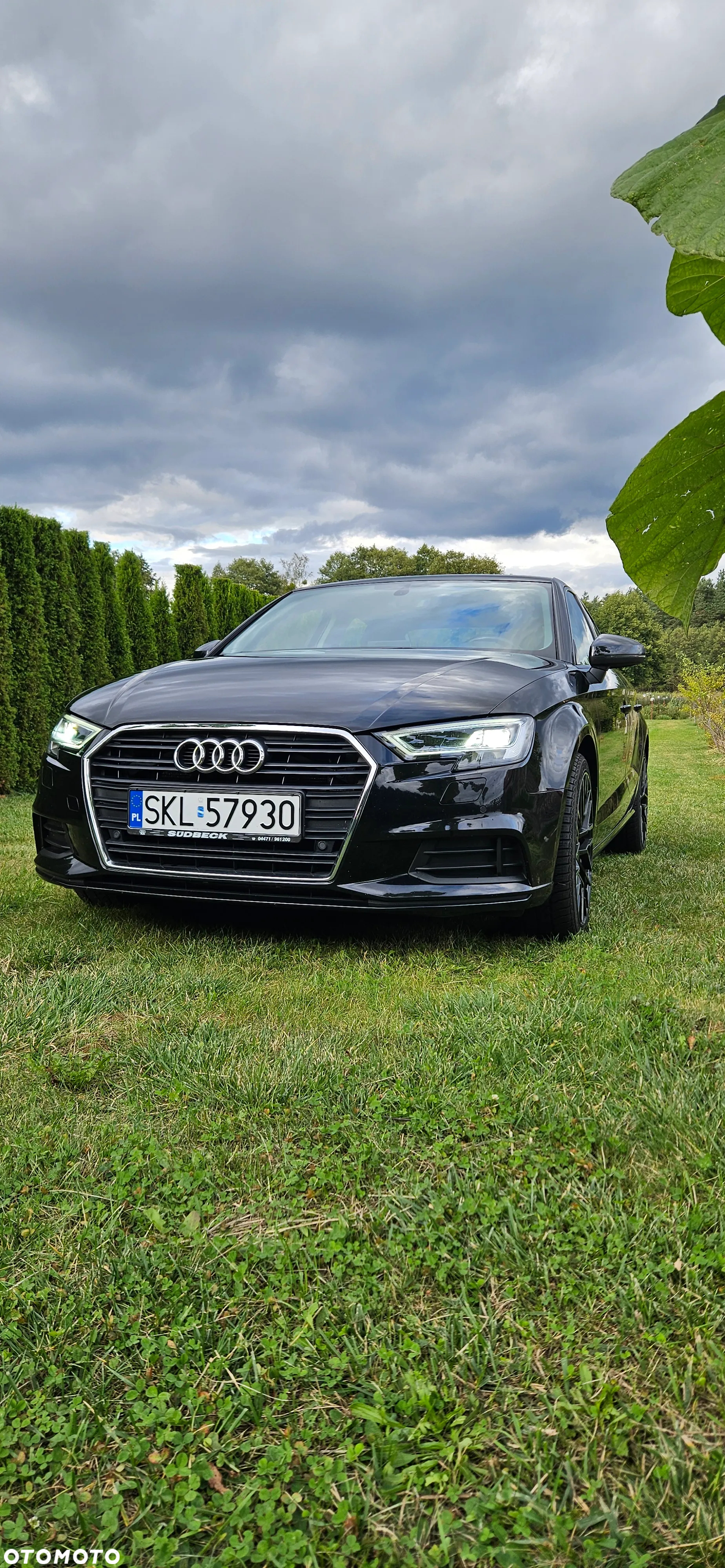Audi A3 2.0 TDI clean diesel Ambition - 5