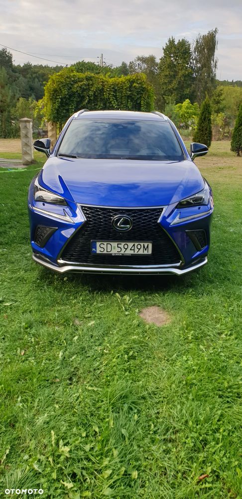 Lexus NX 300h F Sport AWD - 34