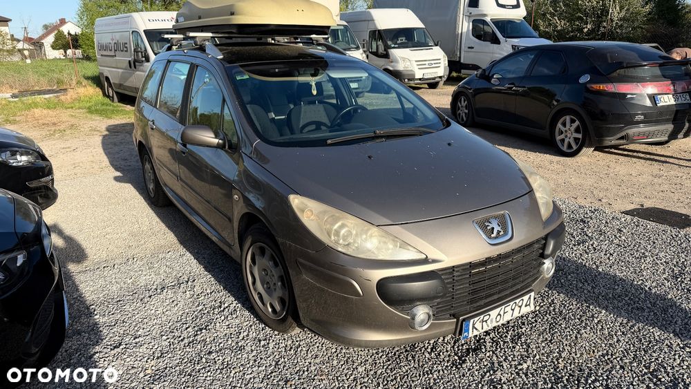 Peugeot 307 110 Premium - 8