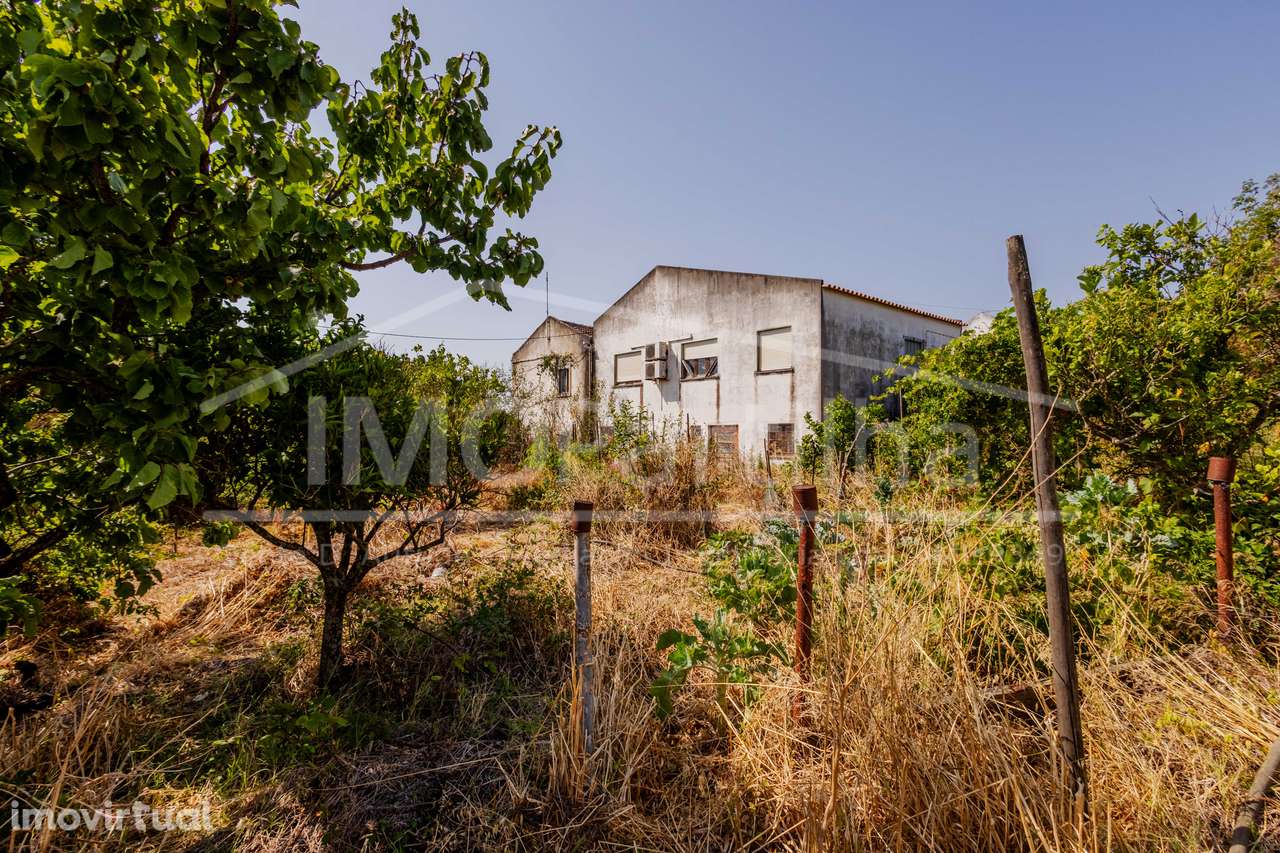 Terreno com 1.900 m2 em Bicesse - Cascais - Grande imagem: 3/5