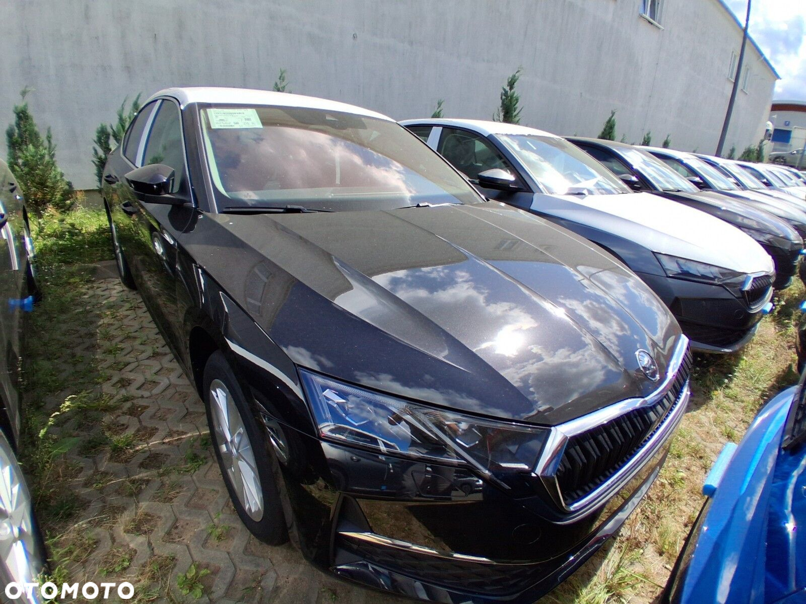 Skoda Octavia 1.5 TSI mHEV Edition 130 Selection DSG - 2
